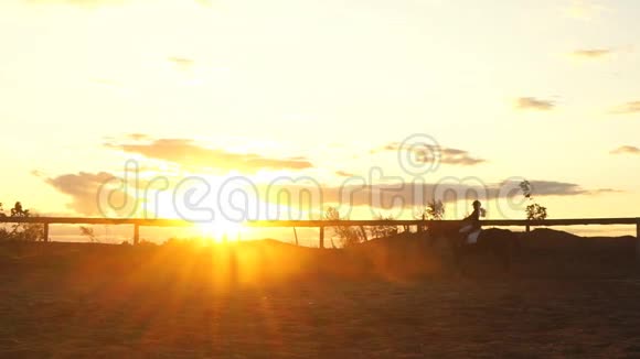 日落时骑马的女孩的剪影视频的预览图