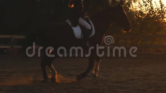 日落时骑马的女孩的剪影视频的预览图