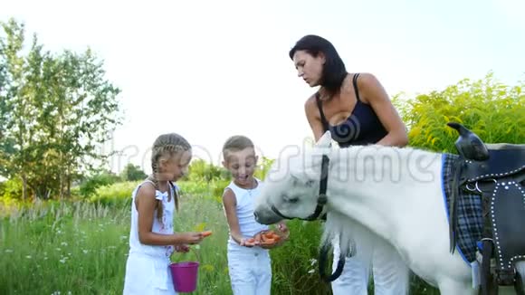 孩子们一个男孩和一个七岁的女孩喂了一匹白色的小马给吃胡萝卜快乐的家庭假期视频的预览图