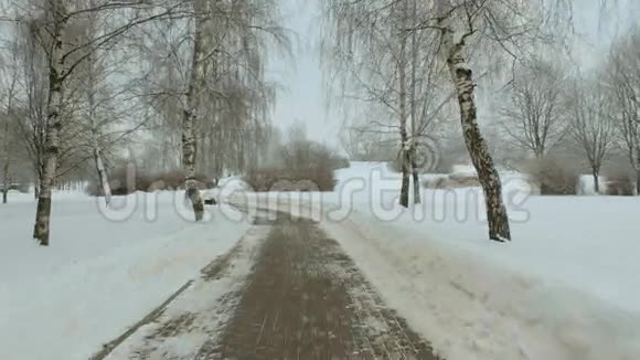 在冬季公园散步寒冷的白天使用专业的万向节稳定剂视频的预览图