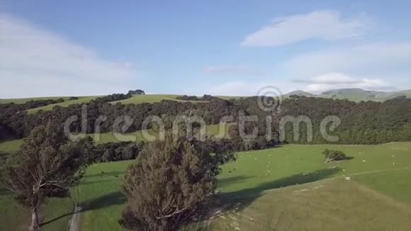 新西兰农田空中拉力4k视频的预览图