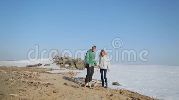 一对夫妇带着一只狗沿着冰冻的湖岸散步视频的预览图