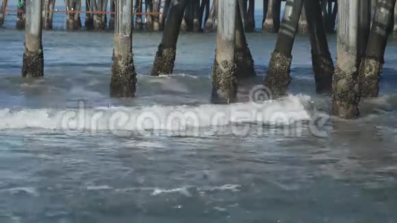 圣塔莫尼卡码头下面的一群皮林视频的预览图