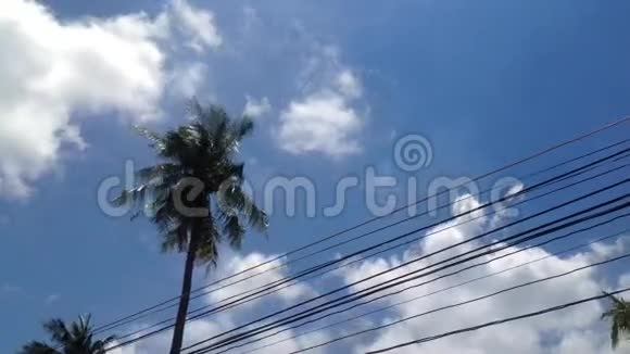 有天空和云层的椰子树视频的预览图