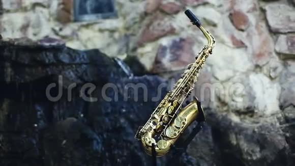 萨克斯管以瀑布为背景的乐器视频的预览图
