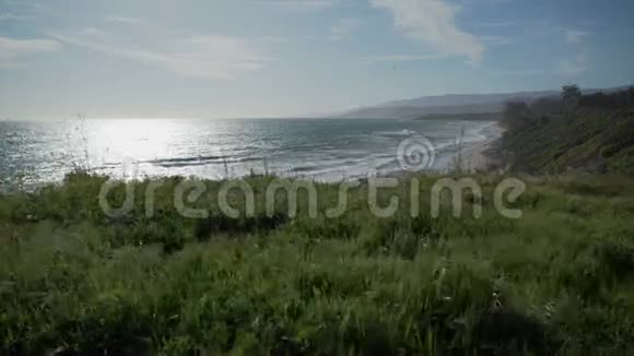 风吹草附近的海滩点构想国家海洋保护区视频的预览图