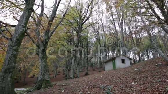 意大利翁布里亚的库科山森林中被遗弃的房子视频的预览图