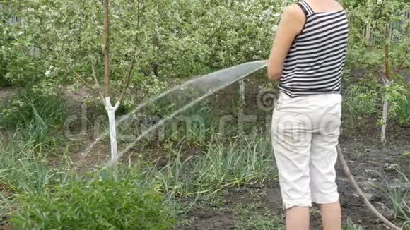 女人正在用水管浇灌花园里的植物视频的预览图