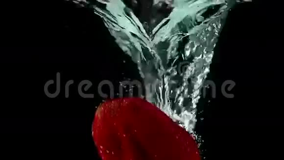 超低温单株草莓在黑色背景下泼水视频的预览图