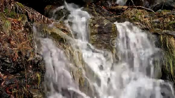 岩石和杂草上的水径流视频的预览图