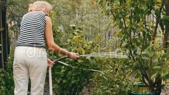 女人正在用水管浇灌花园里的植物视频的预览图