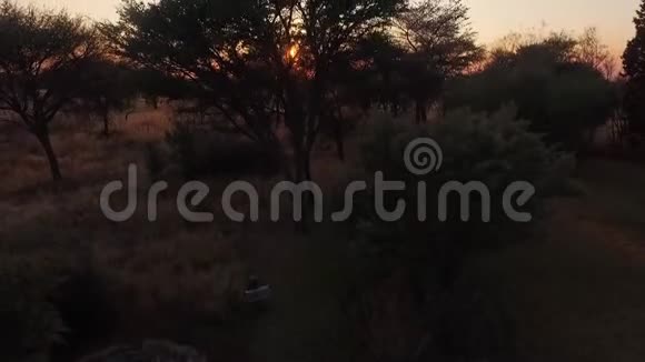 观纳米比亚大草原的红日落视频的预览图