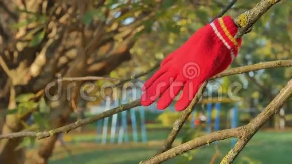 秋天公园里的一根树枝上挂着红色的儿童手套作为丢失的象征视频的预览图