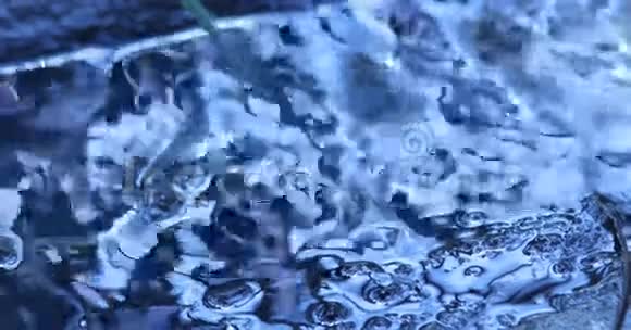 水流穿过苔藓的岩石视频的预览图