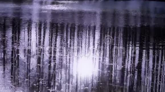 森林倒影在水中涟漪雪阳光视频的预览图