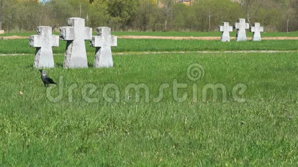 穿过德国军事纪念公墓视频的预览图