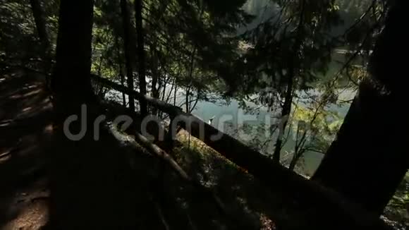 孤独的年轻人在高山碧蓝的湖中钓鱼周围是古老的绿鲤鱼的山林视频的预览图
