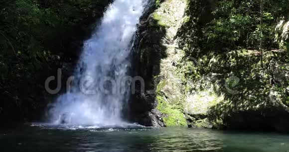 玛特里亚瀑布在绿林中的大岛大岛阳光明媚视频的预览图