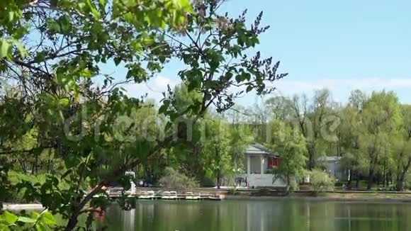 公园池塘的美丽景色视频的预览图