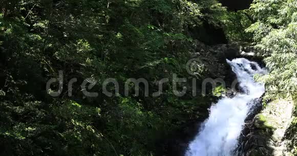 玛特里亚瀑布在绿林中的大岛大岛阳光明媚视频的预览图