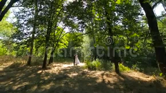 新郎新娘在美丽的绿色森林里接吻视频的预览图