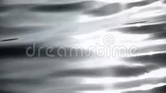 水面小波浪视频的预览图