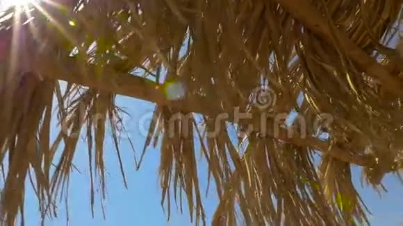 海滩上的茅草伞特写镜头高清高清视频的预览图