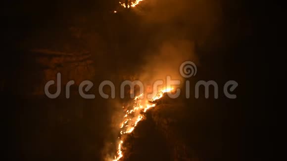 山中的夜火缓慢地燃烧着山峡岩石上的草木视频的预览图