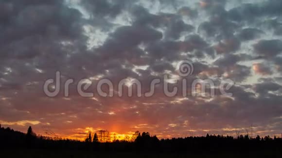 傍晚的森林云天空时间流逝乌拉尔西伯利亚视频的预览图