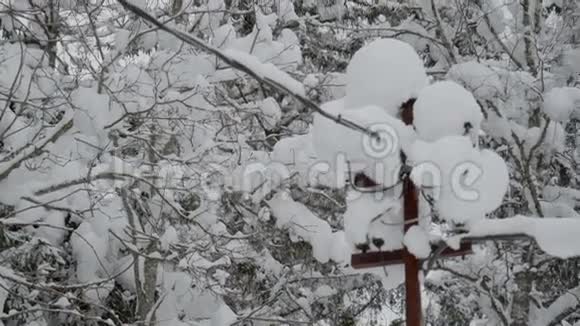 一个充满白雪的电柱视频的预览图