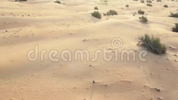 低空飞过沙丘视频的预览图