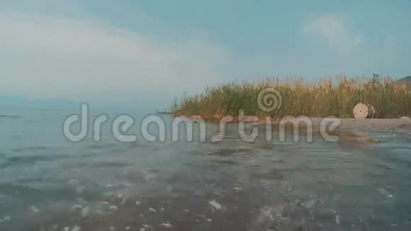 加利利海夏天有鹅卵石和植物视频的预览图