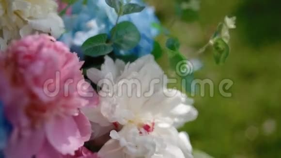 婚礼装饰用五颜六色的牡丹花束视频的预览图