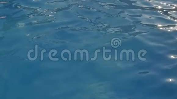 游泳池的水的俯视图摘要蓝色背景视频的预览图