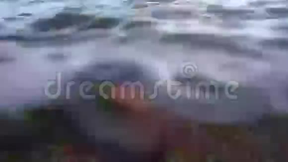 沙滩上海浪下的海螺壳视频的预览图
