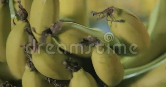 香蕉簇叶在包装过程中的缓慢运动视频的预览图
