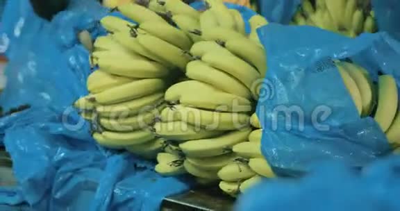 香蕉簇叶在包装过程中的缓慢运动视频的预览图