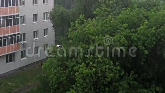 东欧4k大暴雨视频的预览图