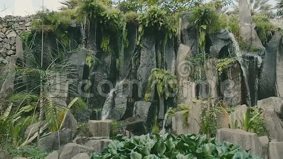 丛林瀑布从岩石上倾泻下来视频的预览图