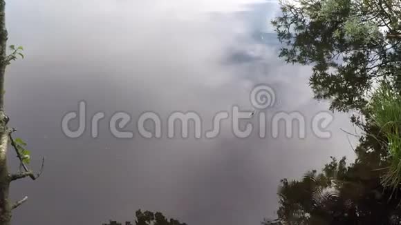 夏末雨水落在平静的池塘水面上视频的预览图