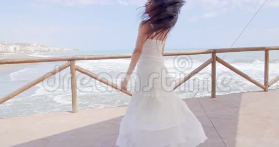 在海滩小径上嬉戏的白娘子视频的预览图