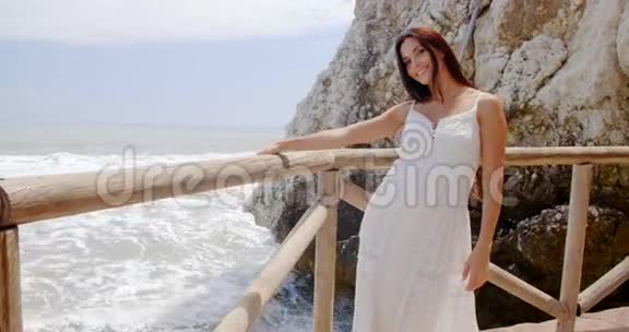 女士在沙滩栏杆与空气吹毛视频的预览图