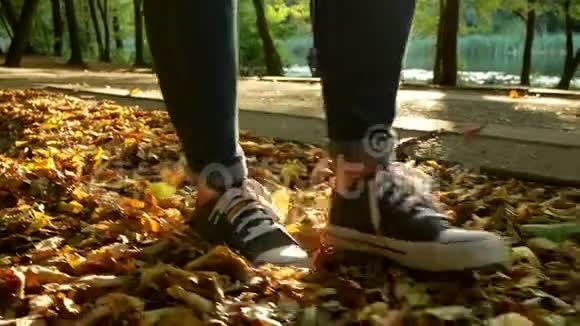 森林女孩公园的叶子视频的预览图