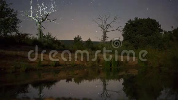 夜幕降临4K灯火辉煌的死栗树视频的预览图