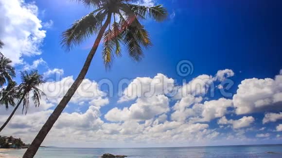 高棕榈对白云运动海的看法视频的预览图