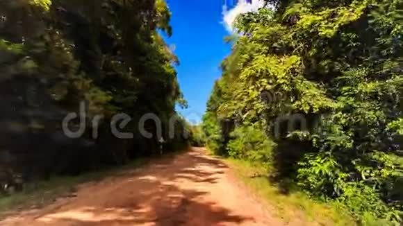 相机移动公园地面道路植物在热带视频的预览图