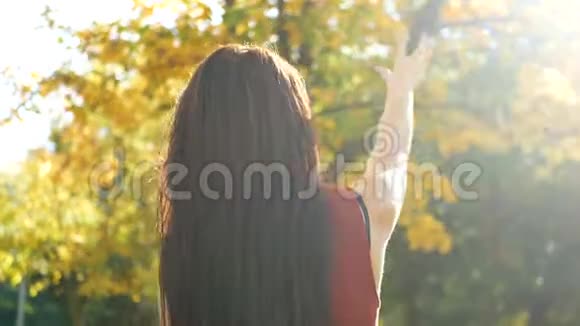女走园林秋视频的预览图