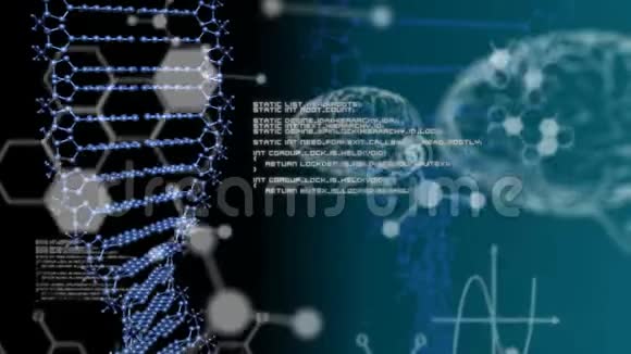 黑色背景下的DNA脑图数据和分子结构视频的预览图