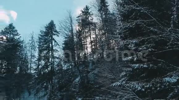 冬季景观冬季森林冬季景观背景空间景观冬季景观视频的预览图