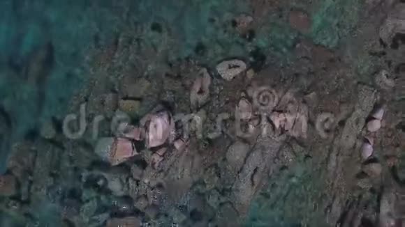 海底岩石的空中拍摄视频的预览图